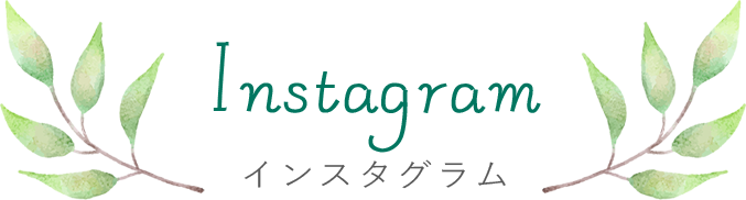 インスタグラム